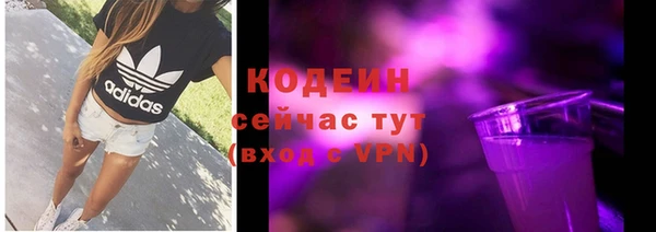 дмт Горняк